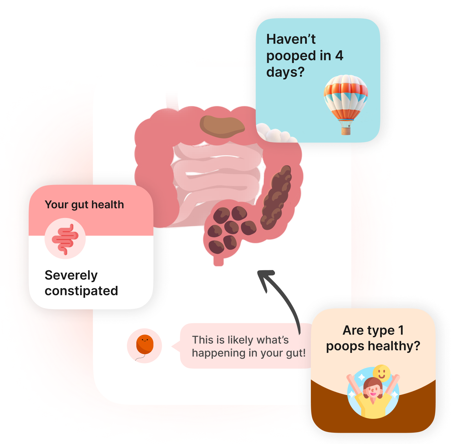 Gut Health Coach feature illustration